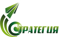 Стратегия